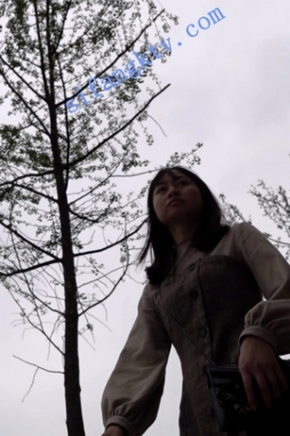 kc287（空城原创）路边CD格子连衣裙少妇，薄丝黑窄N